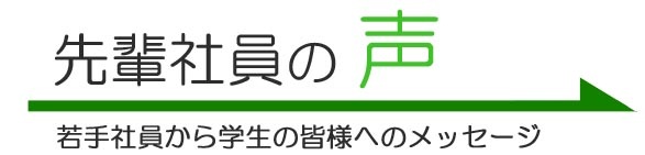 先輩社員の声