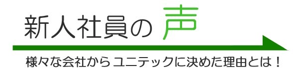 新人社員の声